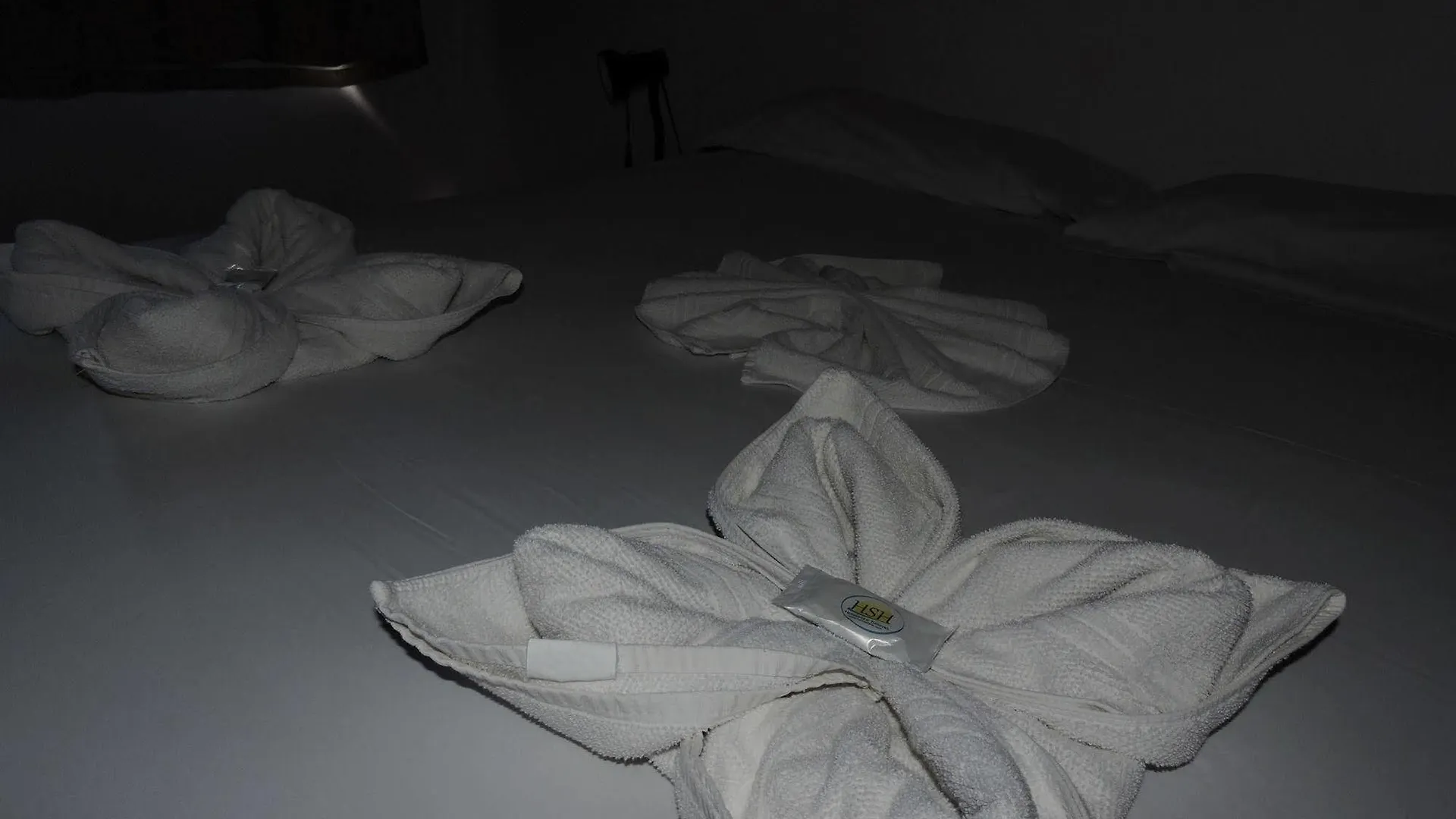 Rede Hs Hotelaria Florianópolis